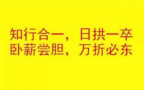 阿里巴巴卖家怎么运营赚钱（阿里巴巴卖家教程）