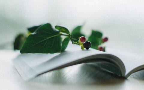 淘宝卡关键词是什么意思（淘宝关键词卡位技巧）