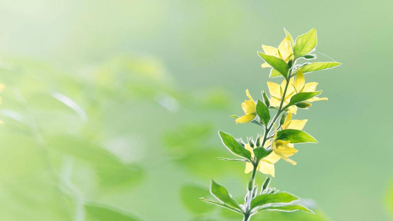 电商推广的关键词选择（挖掘热门潜力）