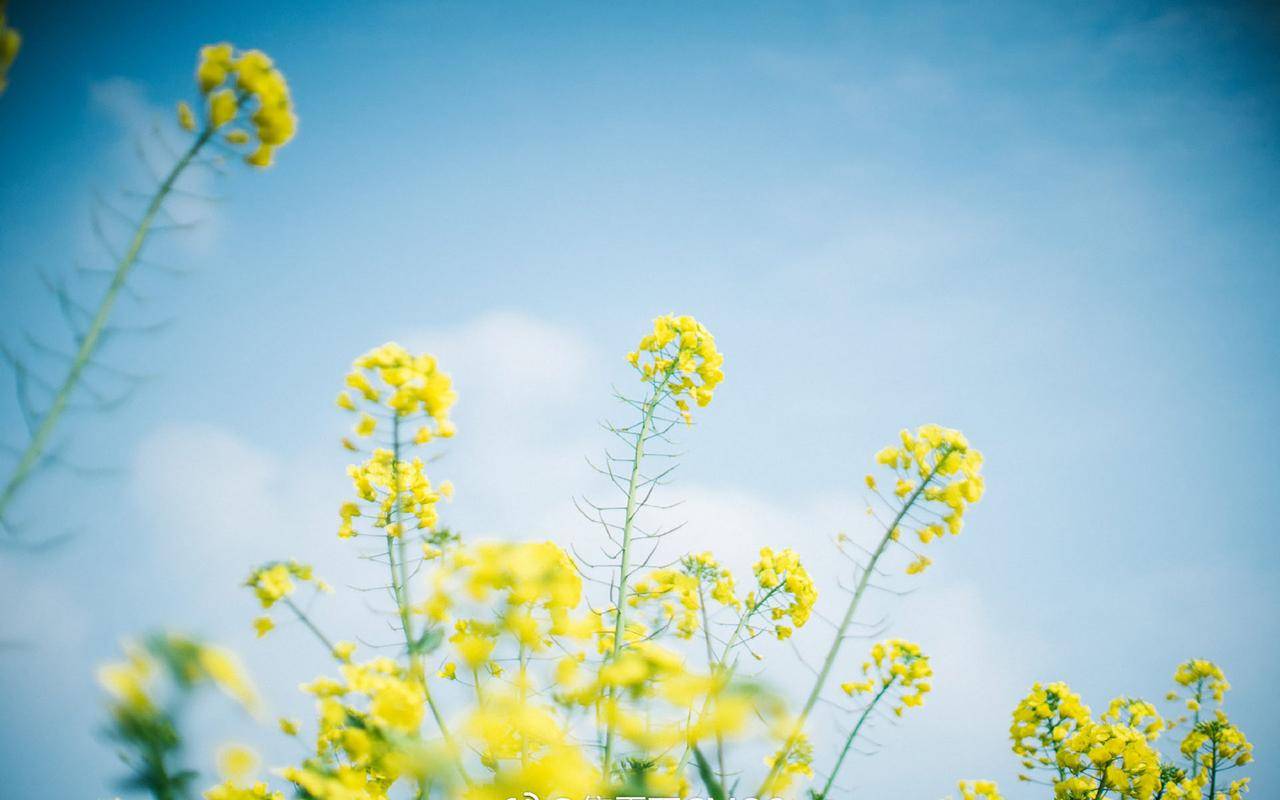 电商运营的关键环节（电商运营中的关键环节有哪些）